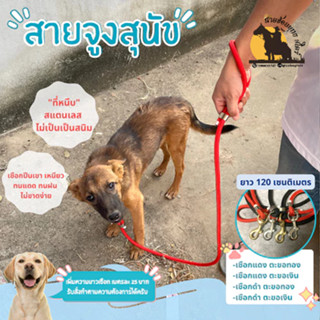 สายจูงหมา สายจูงสุนัข ยาว 1.20 เมตร สแตนเลสไม่เป็นสนิม
