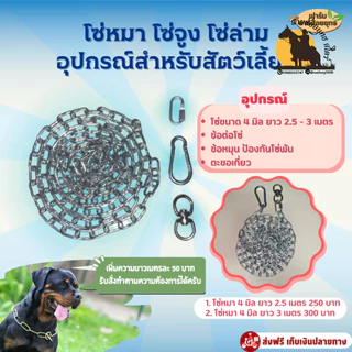 ชุดโซ่หมา โซ่จูง โซ่ล่าม สแตนเลส 304 ไม่เป็นสนิม อุปกรณ์สำหรับสัตว์เลี้ยง โซ่ขนาด 4 มิล,6มิล