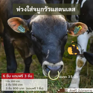 แหวนจมูกวัว ห่วงจมูกวัว แสตนเลสอย่างดี ไม่เป็นสนิม