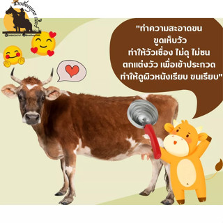 🐴แปรงเกาม้า เกาวัว ทำให้เชื่อง ทำให้คุ้น จับง่าย🐴