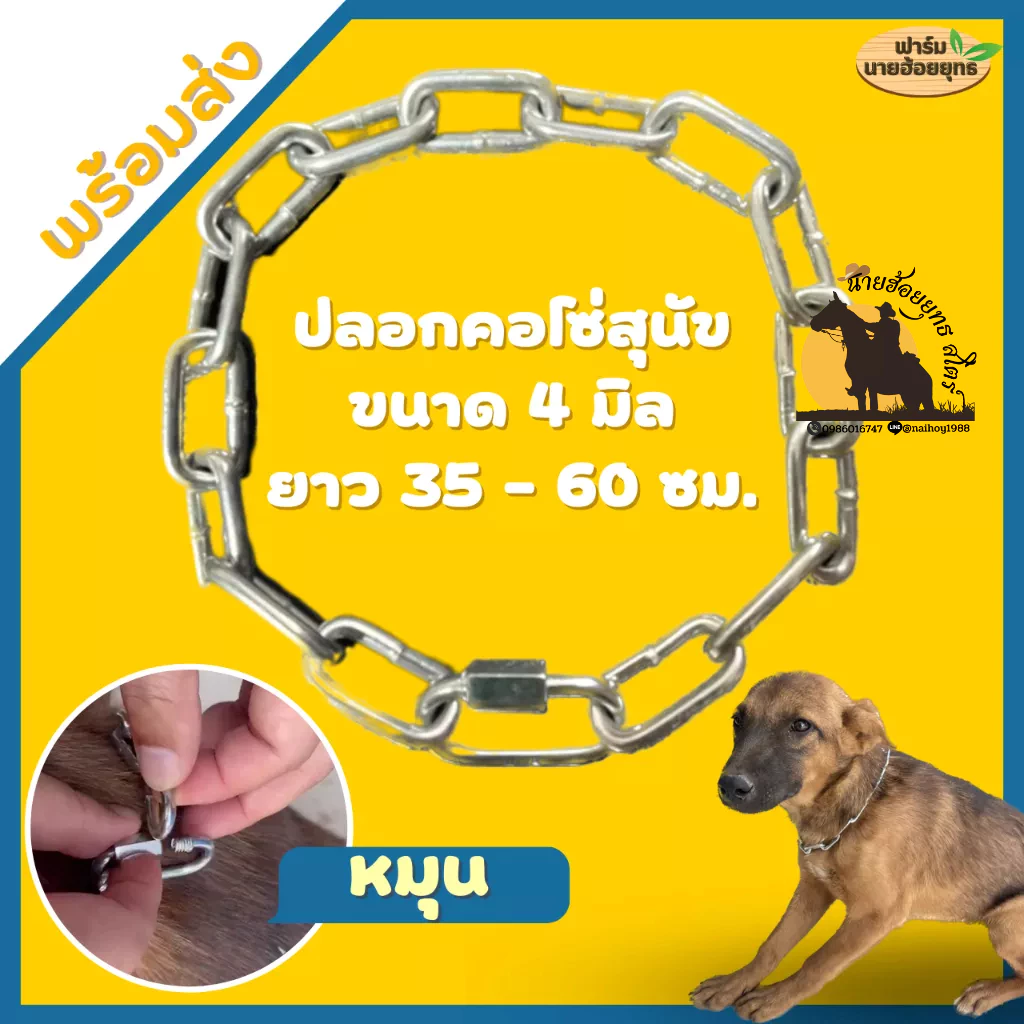 ปลอกคอหมา ปลอกคอโซ่ สุนัข ขนาด 4 มิล สแตนเลสไม่เป็นสนิม ใช้งานได้อเนกประสงค์