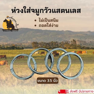 ห่วงจมูกวัว แหวนจมูกวัว แสตนเลสแท้100% ขนาด 3.5 นิ้ว