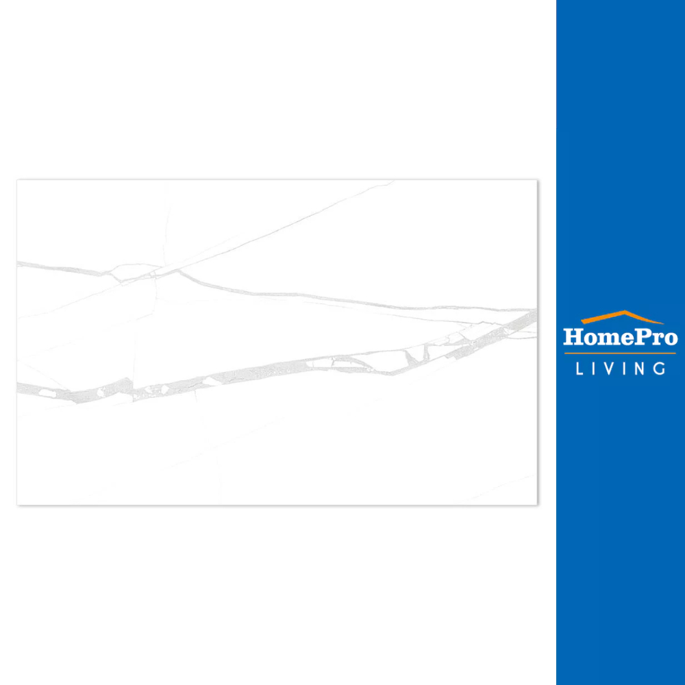 HomePro กระเบื้องผนัง 25X40 ซม. เดียร์น่า ขาว แบรนด์ TARA