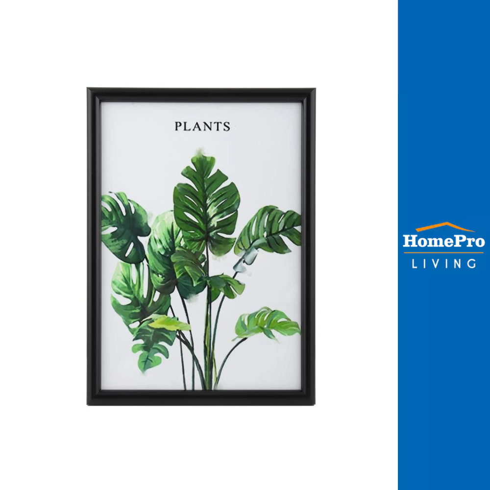 PTS กรอบรูป PLANTS A4 8.5x11.5 นิ้ว สีดำ