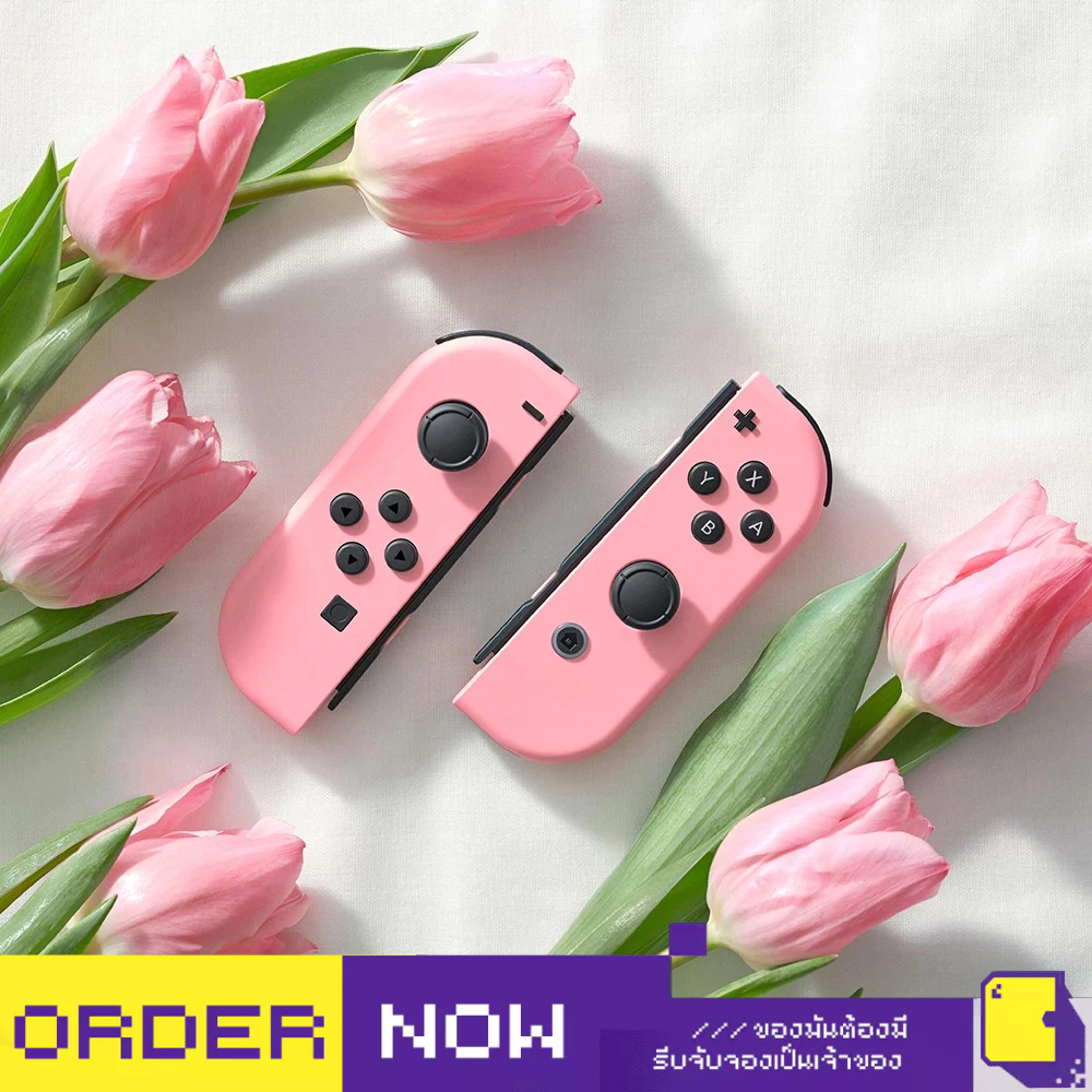 Nintendo Switch™ อุปกรณ์ Joy-con & Pro Controller (By ClaSsIC GaME)