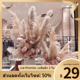 ❈อินเทอร์เน็ตคนดังReedดอกไม้ช่อดอกไม้ห้องนั่งเล่นสีเบจตกแต่งพื้นจรดเพดานขนาดใหญ่Reed Pampas Reedหน้าต่างงานแต่งงานการถ่า