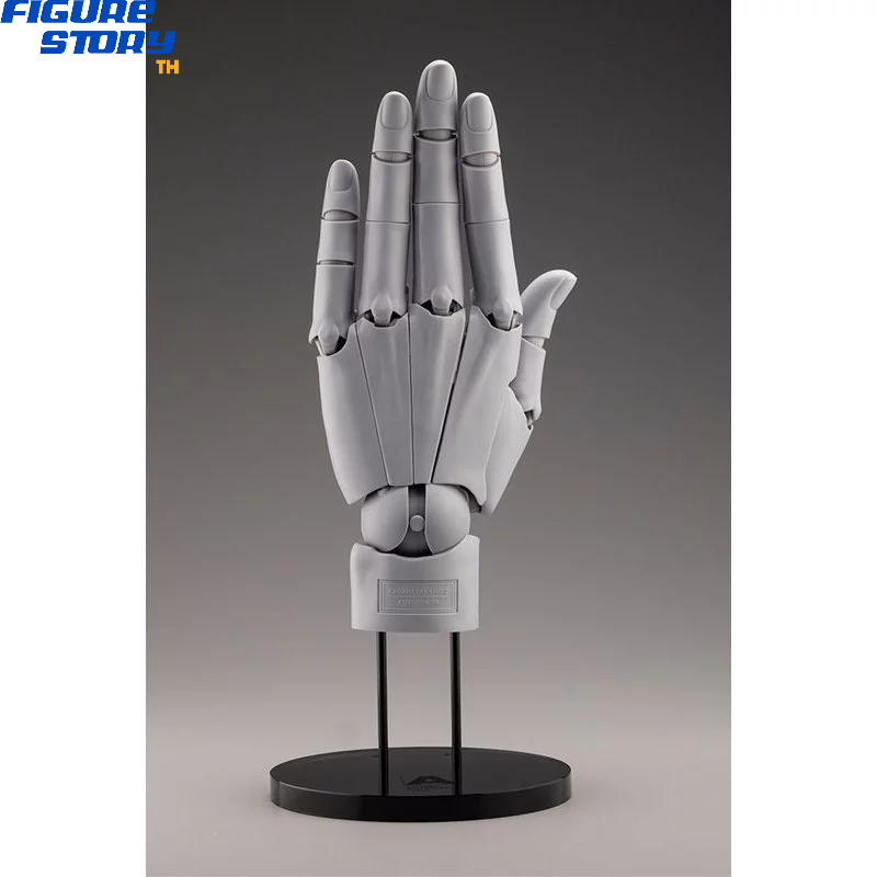 *พรี-ออเดอร์* ARTIST SUPPORT ITEM Takahiro Kagami Hand Model /L -GRAY- (อ่านรายละเอียดก่อนสั่งซื้อ)