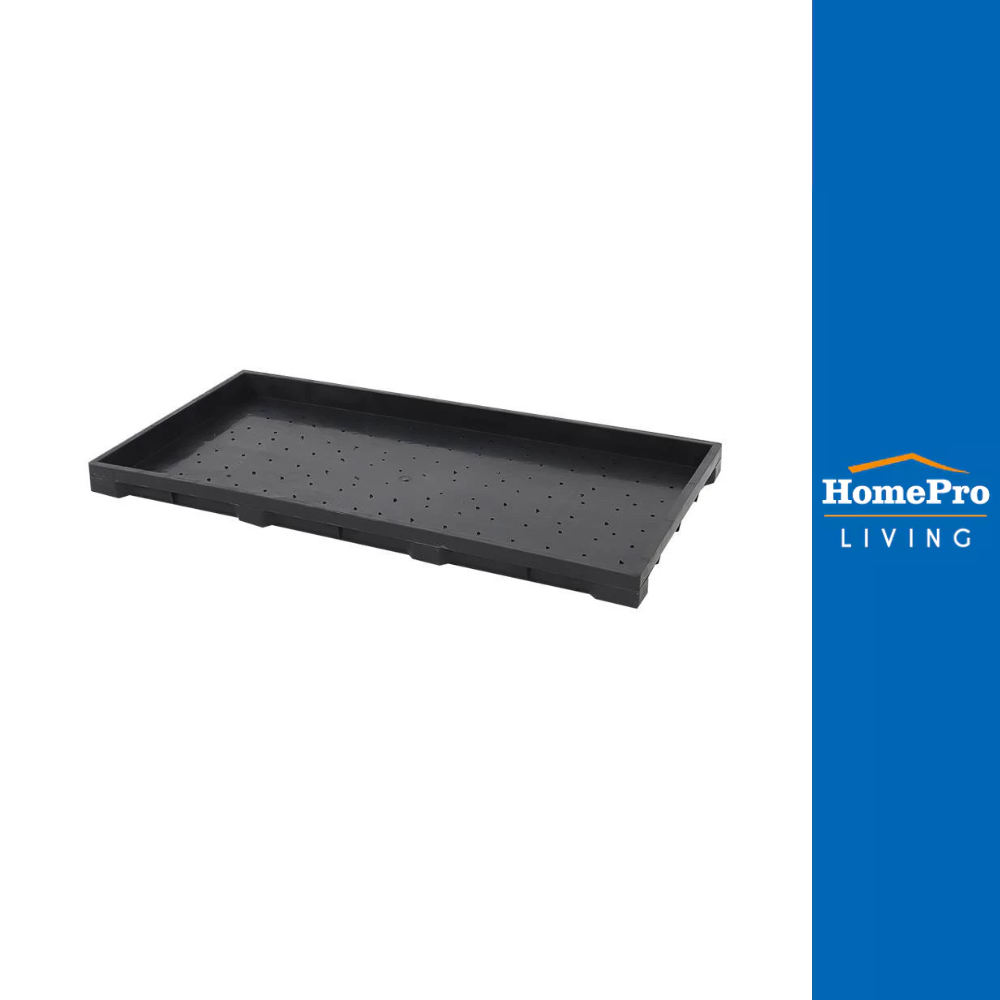 HomePro ถาดเพาะต้นอ่อน สีดำ แบรนด์ SPRING