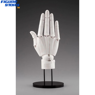 *Pre-Order*(จอง) ARTIST SUPPORT ITEM Takahiro Kagami Hand Model /R -WHITE- (อ่านรายละเอียดก่อนสั่งซื้อ)