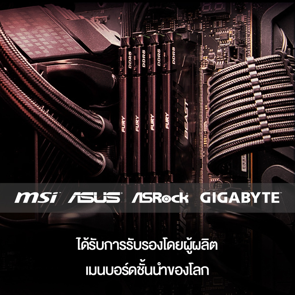 Kingston FURY Beast รุ่นทนทาน DDR5 4800MHz (KF548C38BBK2) - หน่วยความจำ (แรมพีซี)