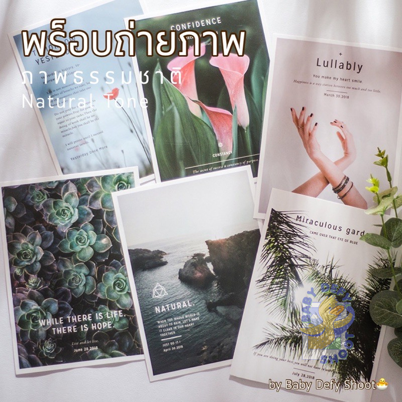 <พร้อมส่ง> การ์ดภาพ ธรรมชาติ Nature Card ขนาด14.8*20ซม 300แกรม ภาพโปสเตอร์ ภาพฟิล์ม กระดาษการ์ด พร็อบ ตกแต่ง