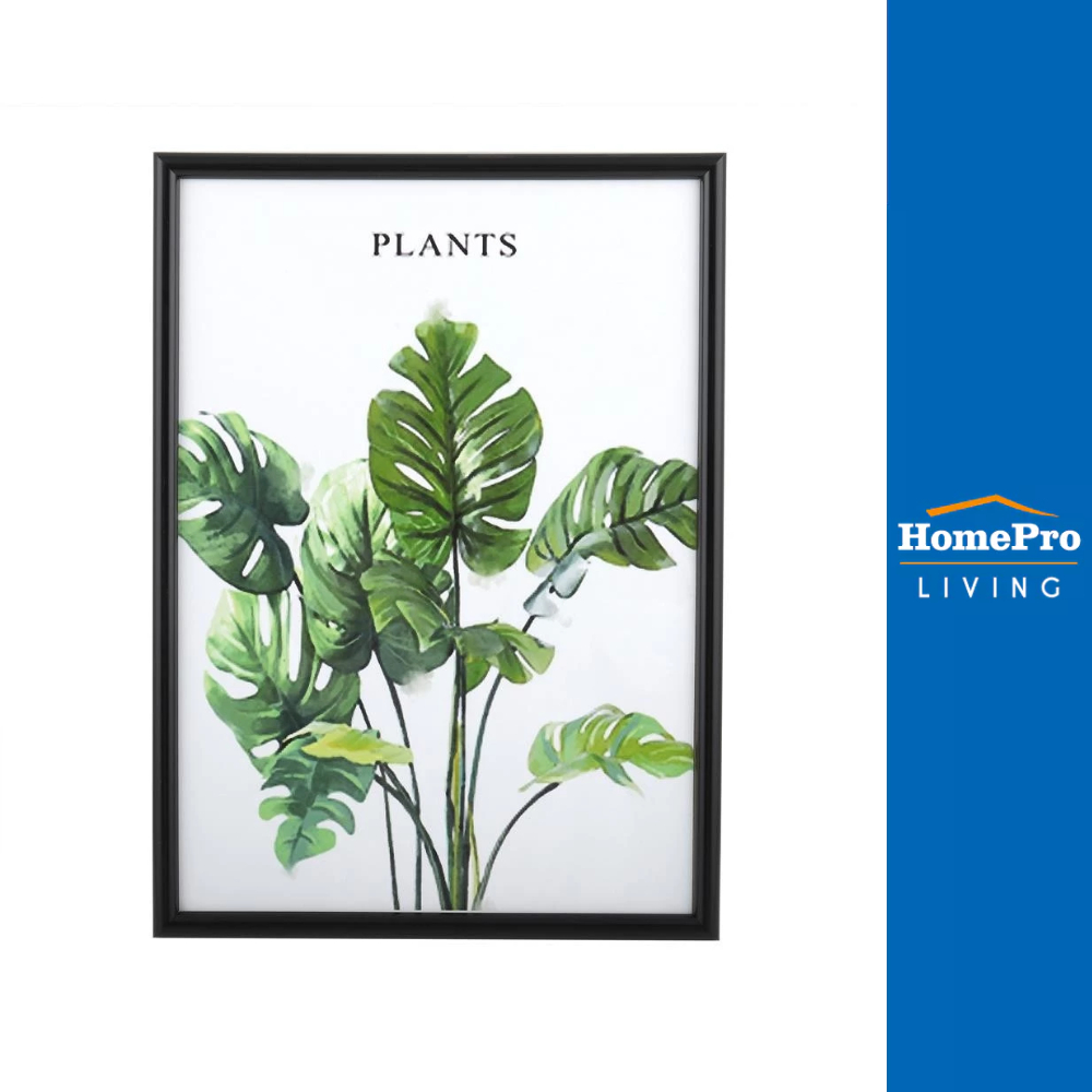 PTS กรอบรูป PLANTS 11.7X16.5 นิ้ว (A3) สีดำ จัดส่งโดย HomePro