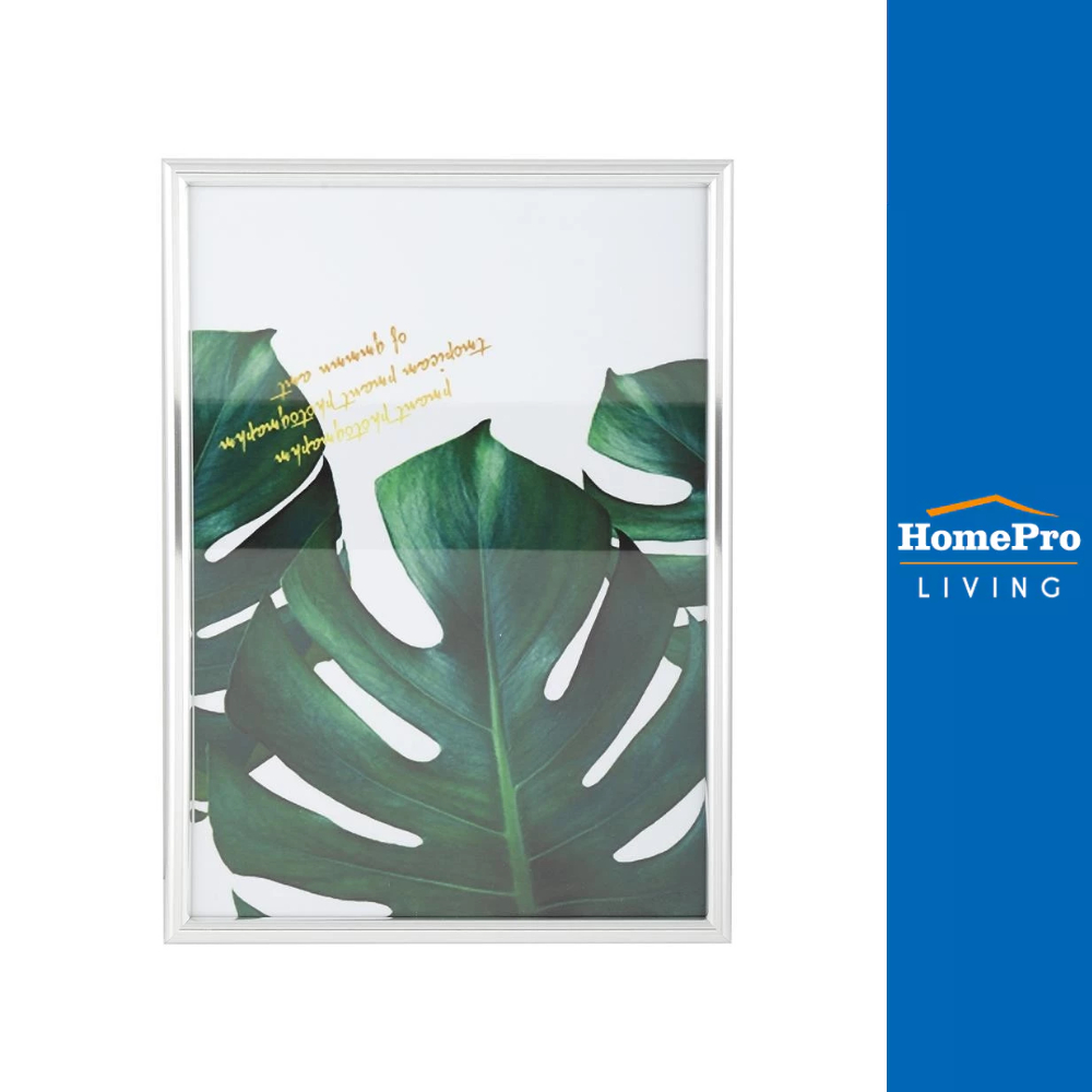 HomePro กรอบรูป MONSTERA 11.7X16.5 นิ้ว (A3) สีเงิน แบรนด์ PTS