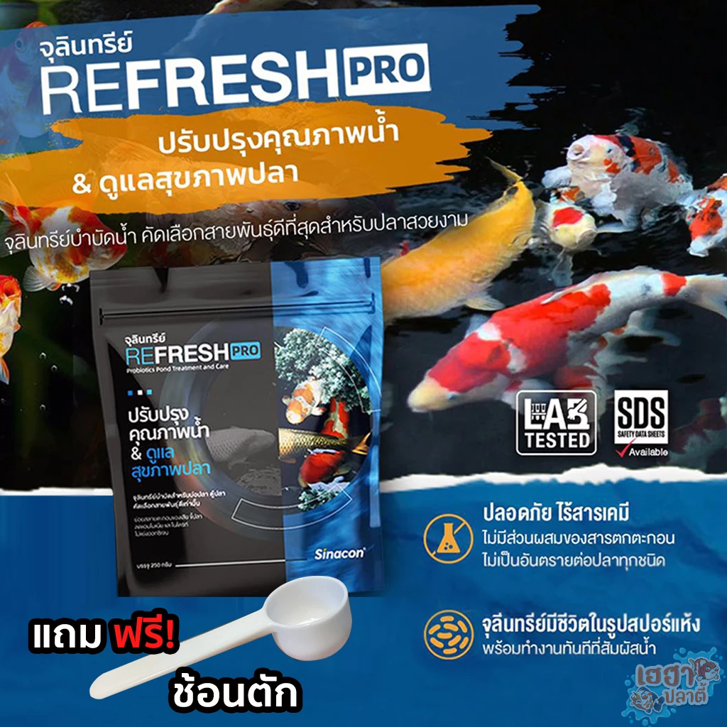 จุลินทรีย์น้ำใส REFRESH PRO & BBClear สำหรับบ่อ/ตู้ ปลา ลดกลิ่น เชื้อก่อโรค ปรับสมดุลน้ำ ปลอดภัย 100% (ฟรี! ช้อนตวง)