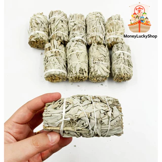 White Sage (มัดเล็ก) แคลิฟอร์เนีย ไวท์เสจ ใบไวท์เสจ (California White Sage) ใบจากต้นเสจ (พร้อมส่ง จากไทย)