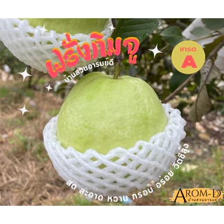 ฝรั่งกิมจู เกรด A/B 1 kg (ส่งไว) มีใบรับรองมาตรฐาน สด สะอาด หวาน กรอบ อร่อย ตัดสดใหม่จากสวนทุกวัน