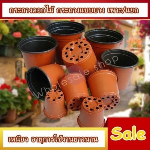 พร้อมส่ง🌸กระถาง แยกพอต กระถางแบบบาง เพาะ/แยก กระถางดอกไม้ เหนียวทนทาน