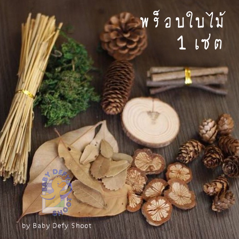 <ใหม่! แท่นไม้ > พร็อบใบไม้ 10ชนิด Dried Wooden Prop พร็อบถ่ายรูป ของตกแต่ง จัดตกแต่ง ท่อนไม้ แท่นไม้