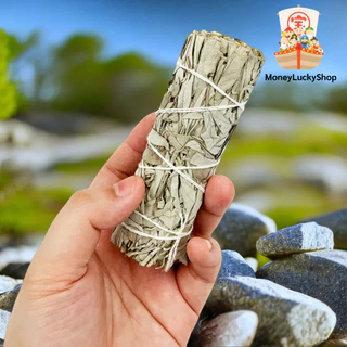 White Sage (มัดเล็ก) แคลิฟอร์เนีย ไวท์เสจ ใบไวท์เสจ (California White Sage) ใบจากต้นเสจ (พร้อมส่ง จากไทย)