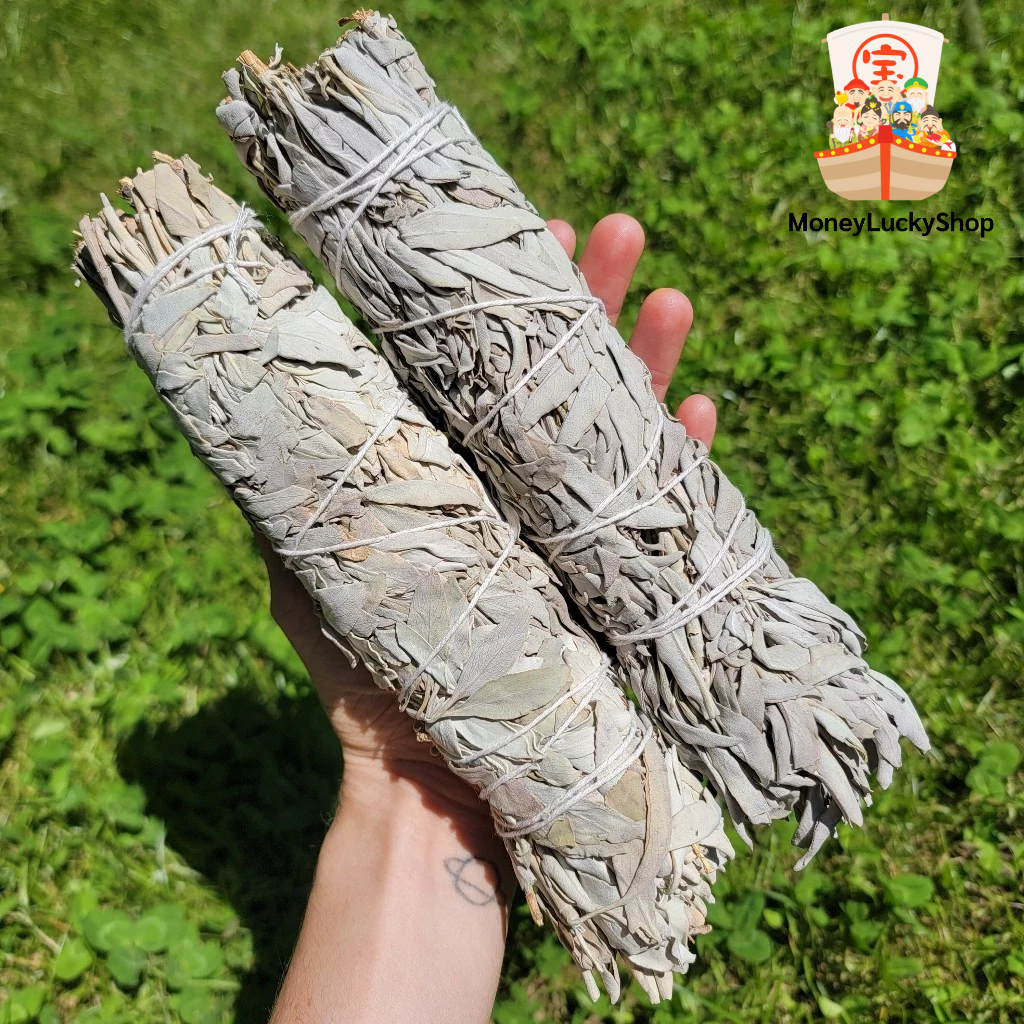 ใบไวท์เสจ (California White Sage) ใบจากต้นเสจ ขนาด 8-9 นิ้ว  ช่วยให้จิตใจสงบ ผ่อนคลาย นอนหลับสบาย พร้อมส่งจากไทย