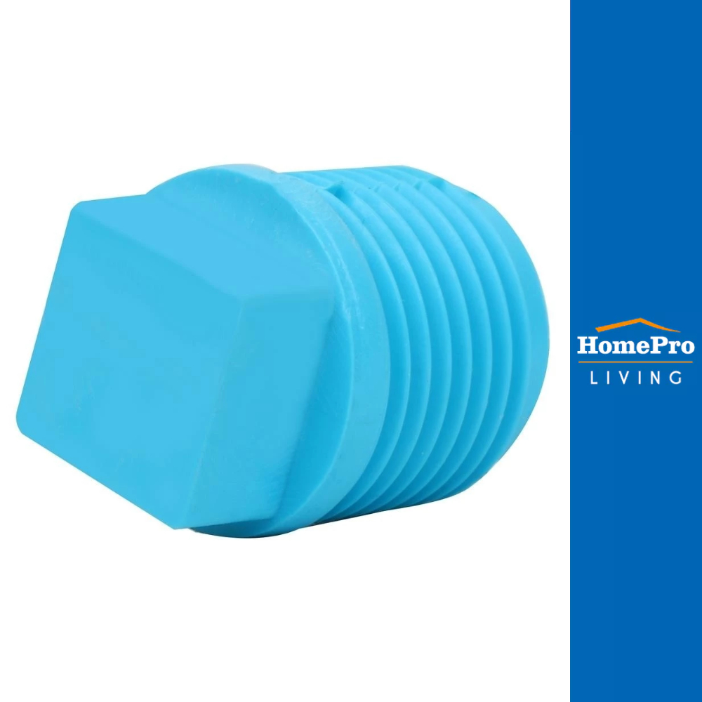 SCG ปลั๊กอุดเกลียวนอก-หนา 1/2 นิ้ว สีฟ้า จัดส่งโดย HomePro