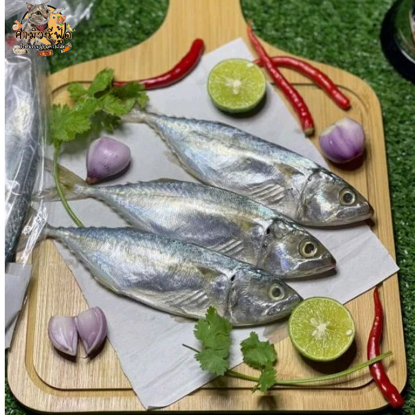 ปลาทูหอม 1แพ็คมี3-4ตัว ต่อแพ็ค