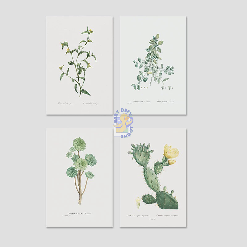 <พร้อมส่ง> การ์ดภาพ กระบองเพ็ชร Cactus Card ขนาด14*21ซม 300แกรม ภาพธรรมชาติ ภาพโปสเตอร์ รูปถ่าย พร็อบ ตกแต่ง