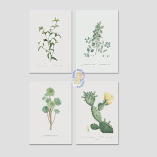  การ์ดภาพ กระบองเพ็ชร Cactus Card ขนาด14*21ซม 300แกรม ภาพธรร…