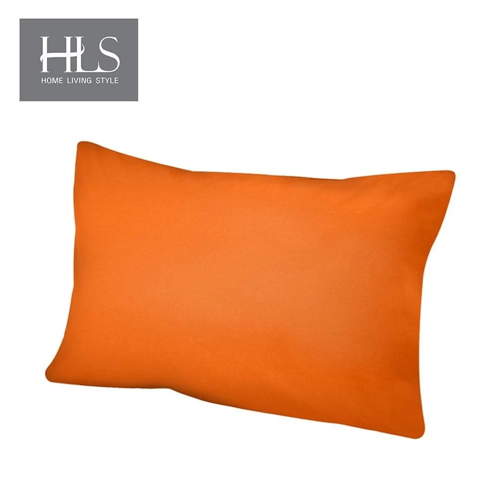 HomePro หมอนหนุน สุญญากาศ BOON+ปลอก แบรนด์ HLS