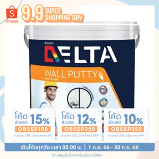 สีโป๊วปูน DELTA WALL PUTTY ขาว