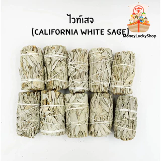 White Sage (มัดเล็ก) แคลิฟอร์เนีย ไวท์เสจ ใบไวท์เสจ (California White Sage) ใบจากต้นเสจ (พร้อมส่ง จากไทย)
