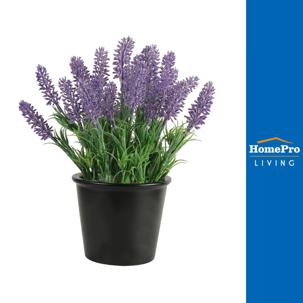 HomePro ต้นไม้ประดิษฐ์ลาเวนเดอร์ 15X15X25 ซม. แบรนด์ SPRING