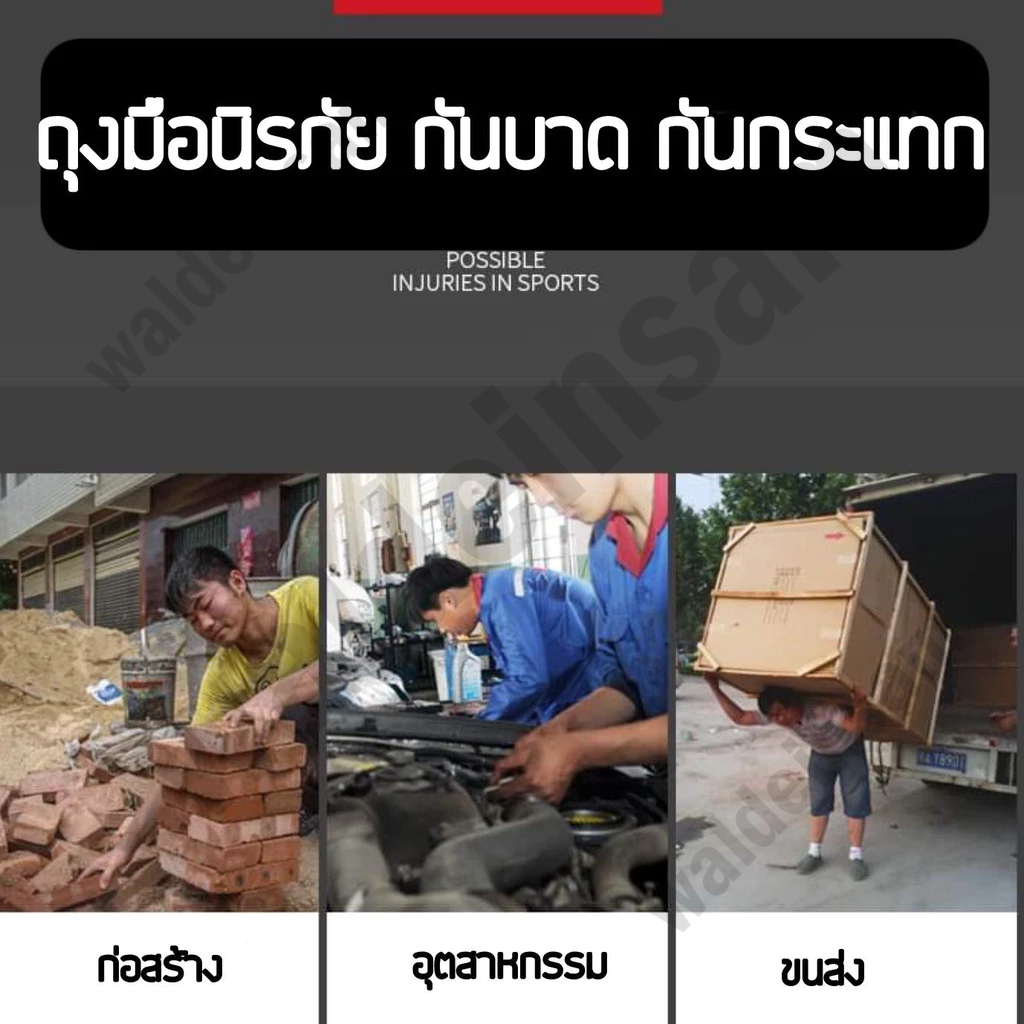 รูปภาพ 5