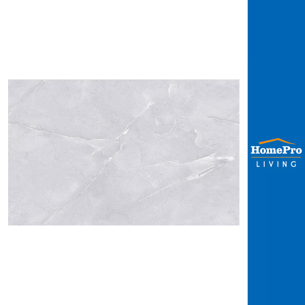 HomePro กระเบื้องผนัง 25X40 ซม. ดานัส เกรย์ แบรนด์ TARA