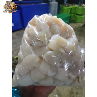 เอ็นหอยกาบแบ่งขาย 300กรัม 500กรัม 1กิโล เป็นเอ็นหอยแช่แข็งนะครับ ช่วงนี้เป็นเอ็นหอยต่างประเทศนะครับ