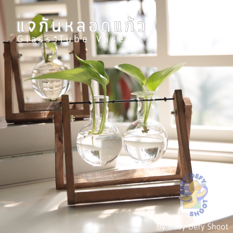 <พร้อมส่ง> แจกันแก้ว Glass Tube Vase ฐานแขวนแบบไม้ 🔧วิธีประกอบดูตัวอย่างในวิดิโอ🔧 แจกันตั้งโต๊ะ โหลแก้ว ขวดโหล ขวดแก้ว