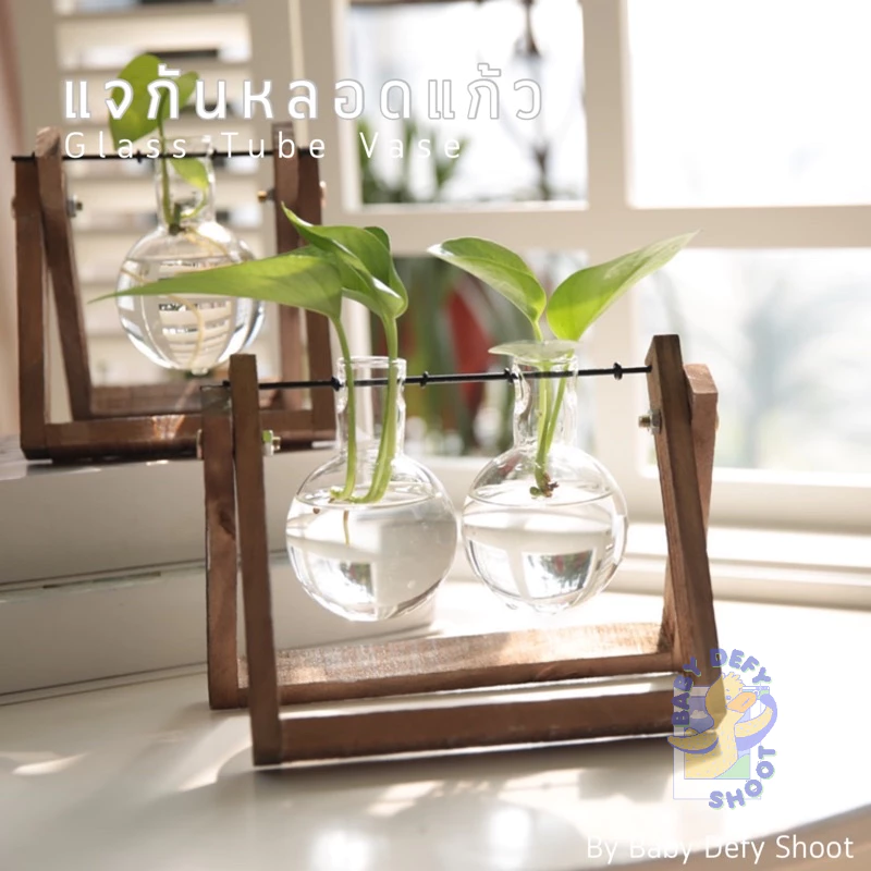 <พร้อมส่ง> แจกันแก้ว Glass Tube Vase ฐานแขวนแบบไม้ 🔧วิธีประกอบดูตัวอย่างในวิดิโอ🔧 แจกันตั้งโต๊ะ โหลแก้ว ขวดโหล ขวดแก้ว