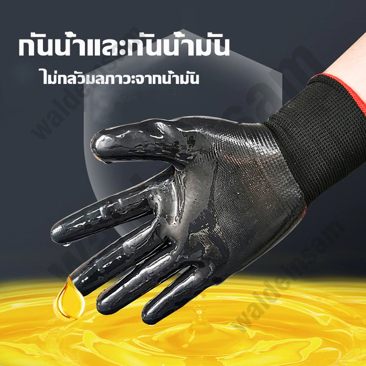 รูปภาพ 4