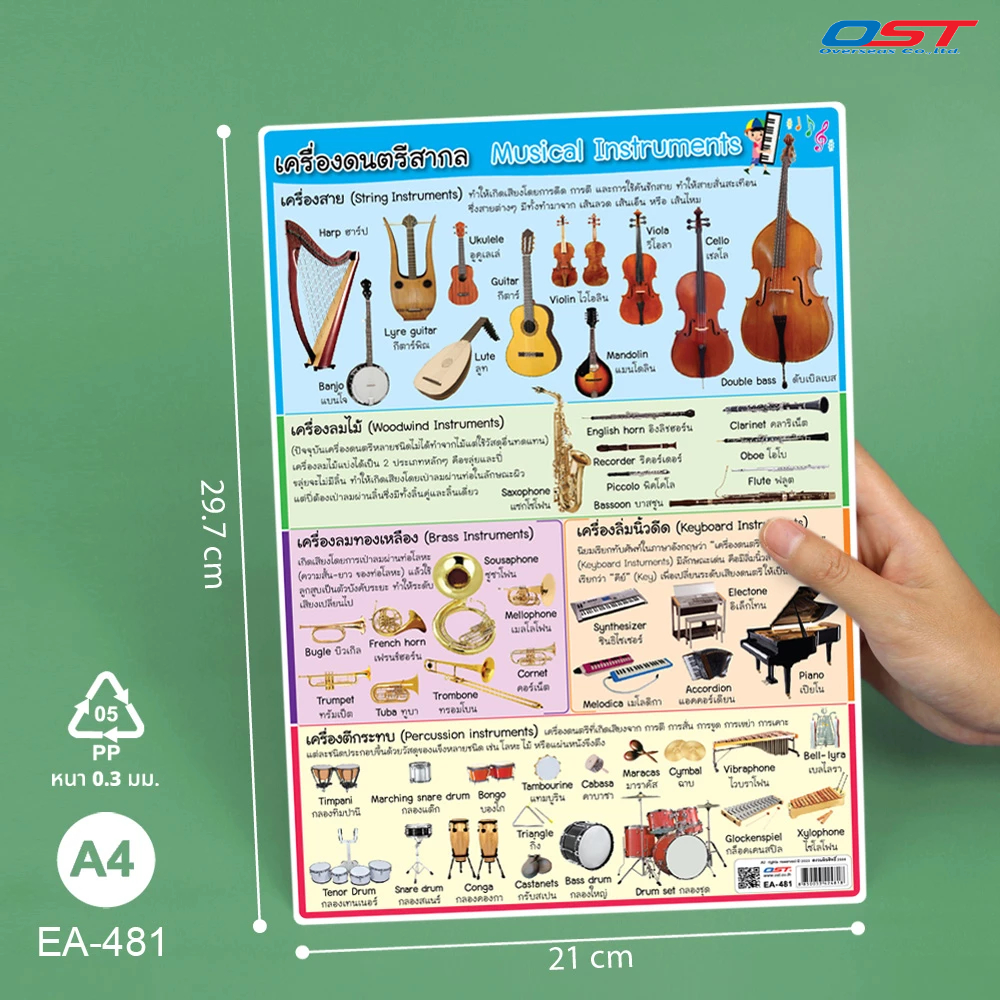 แผ่นความรู้พลาสติก ขนาด A4 เรื่อง เครื่องดนตรีสากล (Musical instruments) ผลิตจากพลาสติกหนา 0.3 มม.
