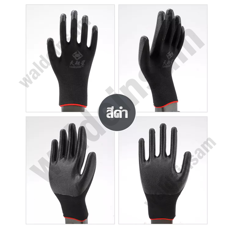 รูปภาพ 8