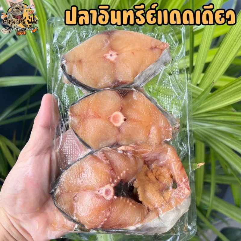 ปลาอินทรีย์แดดเดียว แพ็คล่ะ 300 กรัม มี2-3 ชิ้นต่อแพ็ค เนื้อหนา แน่น นุ่ม อร่อย