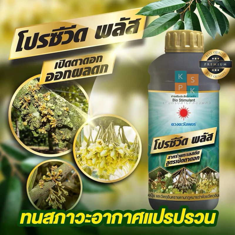 โปรซีวีดพลัส สาหร่าย ตราดวงตะวันเพชร สูตรเปิดตาดอก บำรุงดอก การแตกใบอ่อน แตกยอด แตกกิ่ง (ชนิดน้ำ) 1 ลิตร