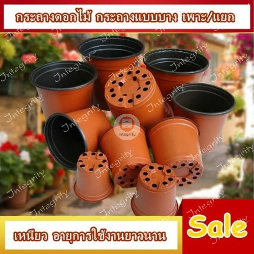 พร้อมส่ง กระถาง แยกพอต กระถางแบบบาง เพาะ/แยก กระถางดอกไม้ เหนียวทนทาน *สินค้าพร้อมส่งจากไทย*