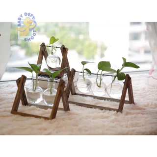 <พร้อมส่ง> แจกันแก้ว Glass Tube Vase ฐานแขวนแบบไม้ 🔧วิธีประกอบดูตัวอย่างในวิดิโอ🔧 แจกันตั้งโต๊ะ โหลแก้ว ขวดโหล ขวดแก้ว