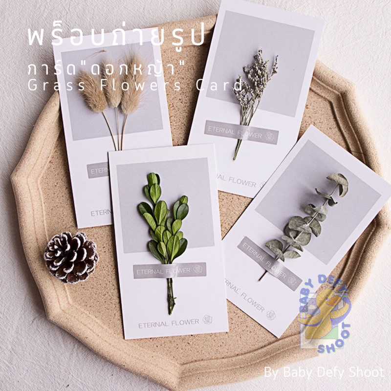  การ์ดดอกหญ้า Grass Flower Card 5สี 14.5*8ซม. พร็อบ ดอกไม้ ถ่ายรูปสินค้า ของตกแต่ง ใบไม้ การ์ดตกแต่ง