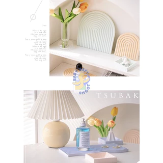 <พร้อมส่ง> แท่นยิปซั่ม Arch&Wave สีพาสเทล Gypsum Pastel Plate | 7 แบบ | แบบโค้ง แบบคลื่น พร็อบ แท่นปูน ของตกแต่งบ้าน จาน