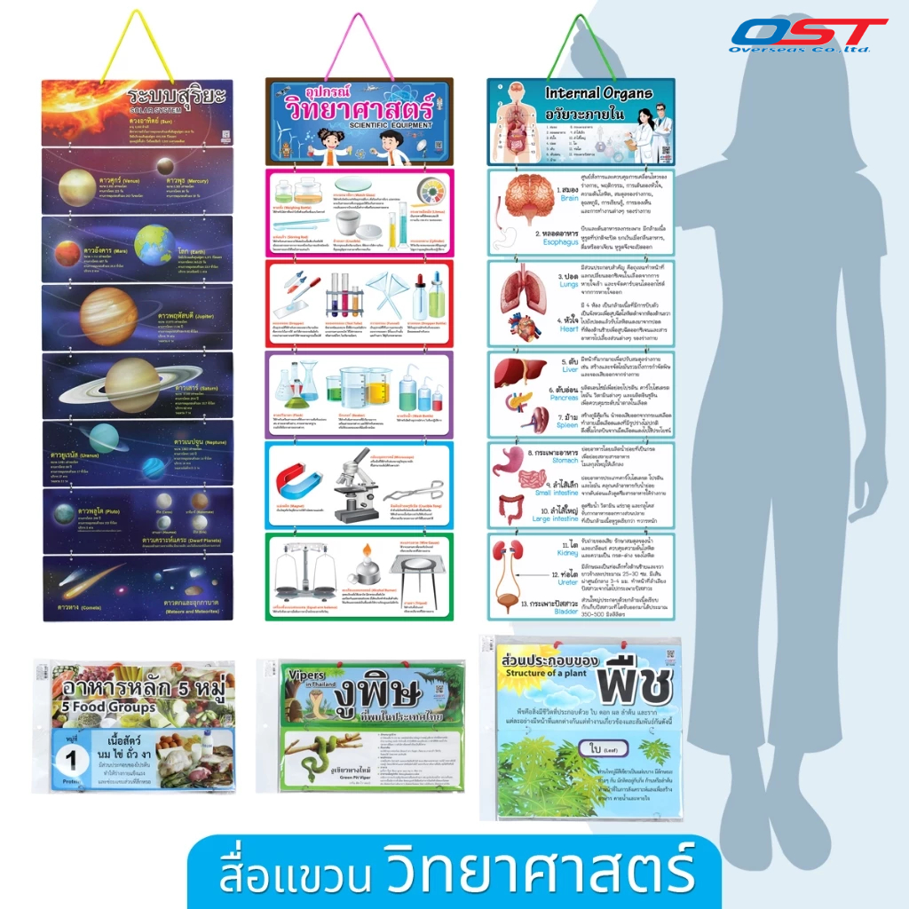 สื่อการสอนแบบแขวน (วิชาวิทยาศาสตร์) ขนาด 35x96ซม. สื่อแขวนผนังทำจากพลาสติก 0.3 มม. มีให้เลือกหลายแบบ