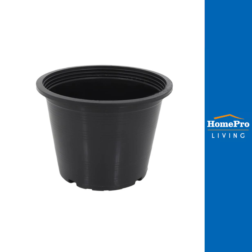 SPRING กระถางต้นไม้ 8 นิ้ว สีดำ จัดส่งโดย HomePro