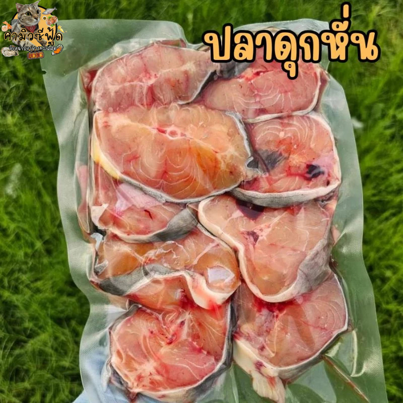 ปลาดุกหั่นเป็นชิ้น เนื้อล้วนๆ แพ็คละ1กิโลกรัม