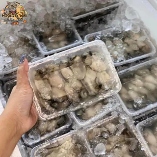 หอยนางรมทรงเครื่อง มาพร้อมเครื่องยำแถมให้ฟรี หอยกล่องล่ะ 150กรัม มี10-12ตัว หอยสดๆ คัดเน้นๆ ราคาถูก หอยเข้าใหม่ทุกวัน